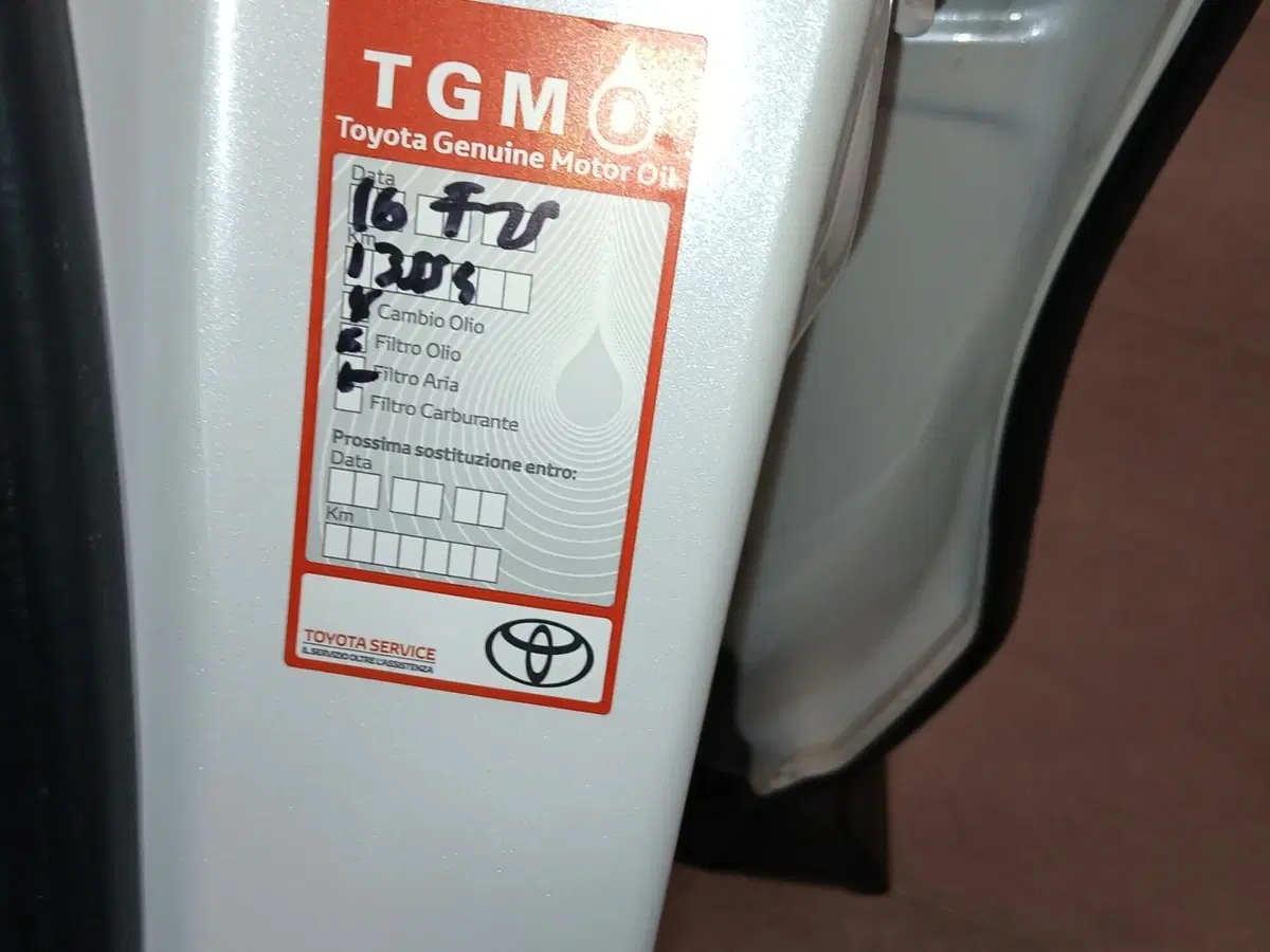 Lexus NX usata a Genova (20)