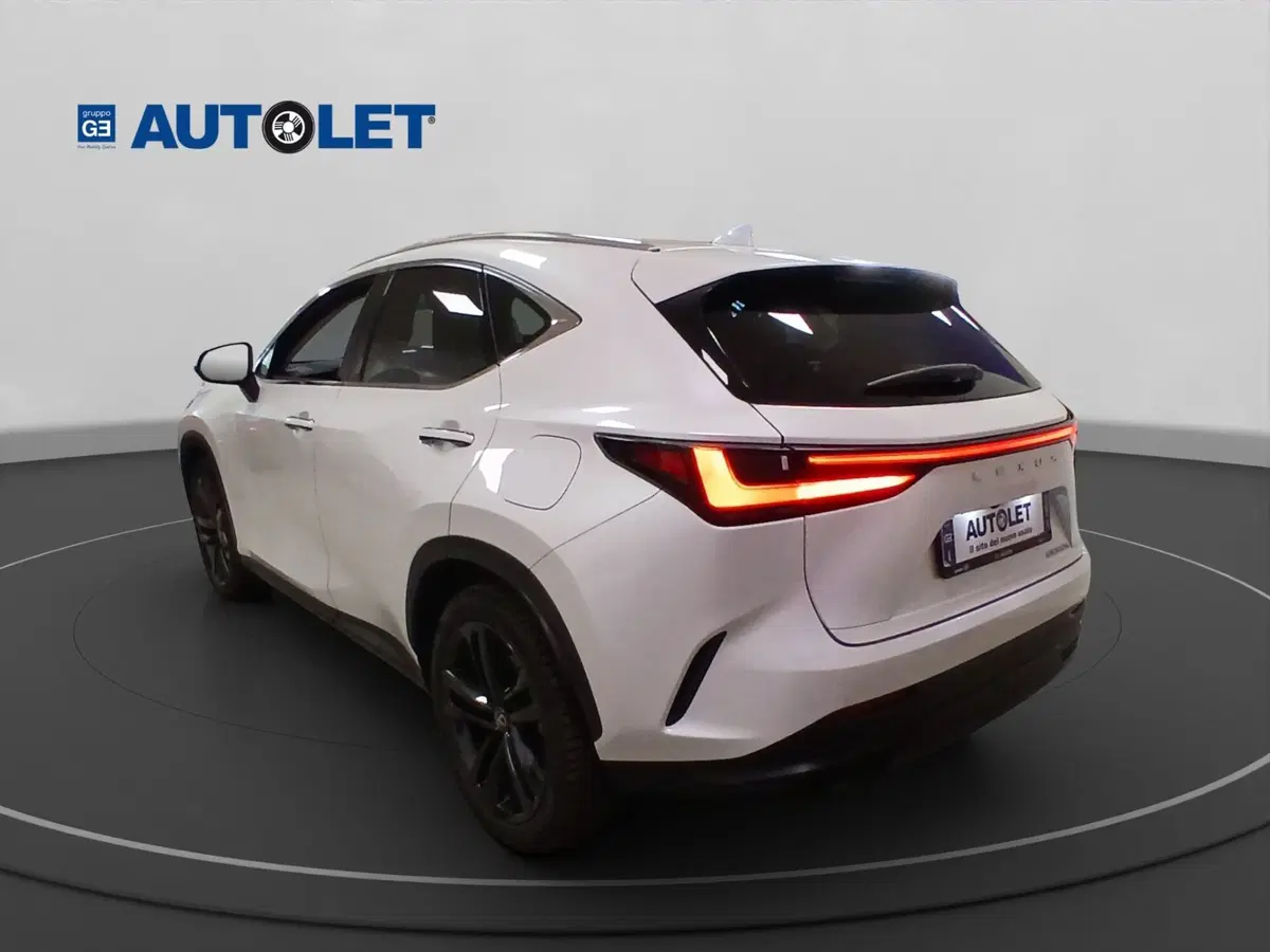 Lexus NX usata a Genova (8)