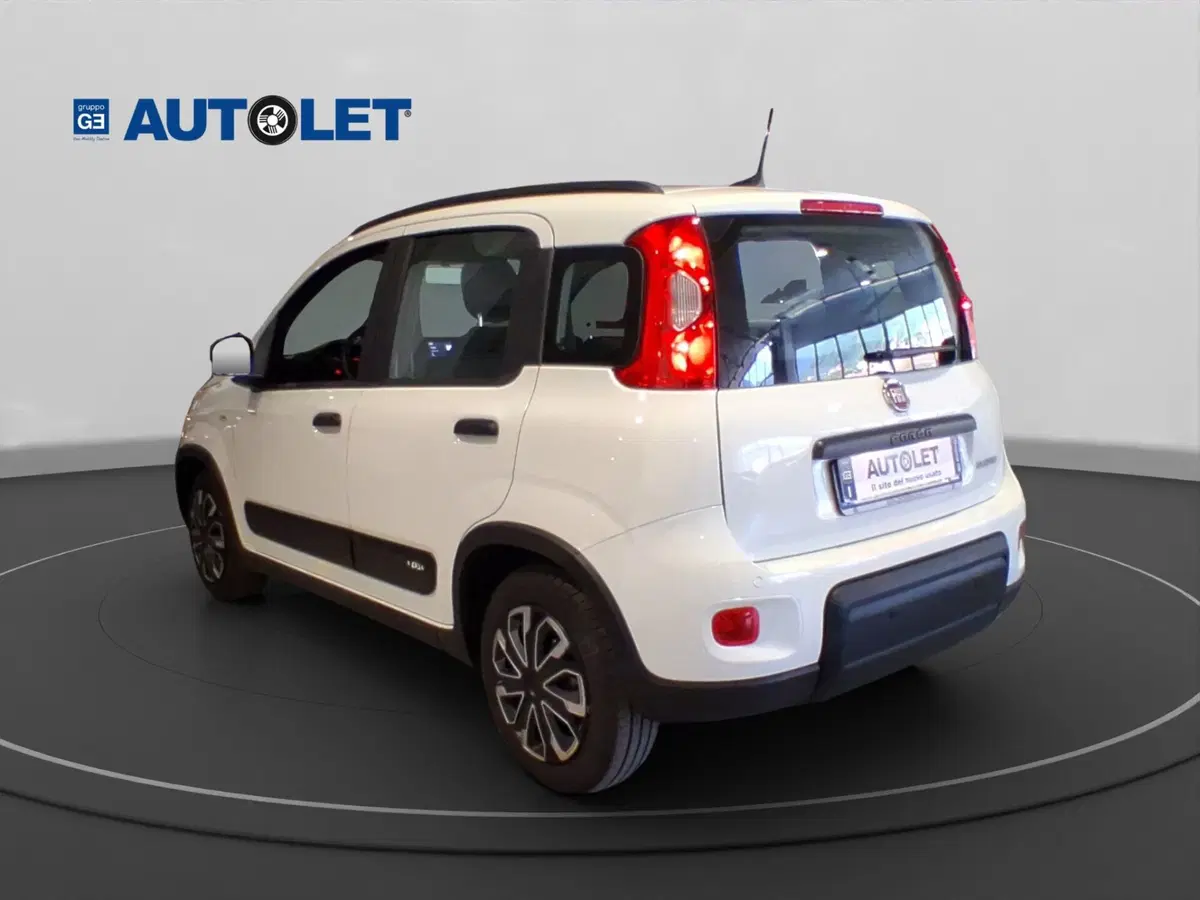Fiat Panda usata a Genova (8)