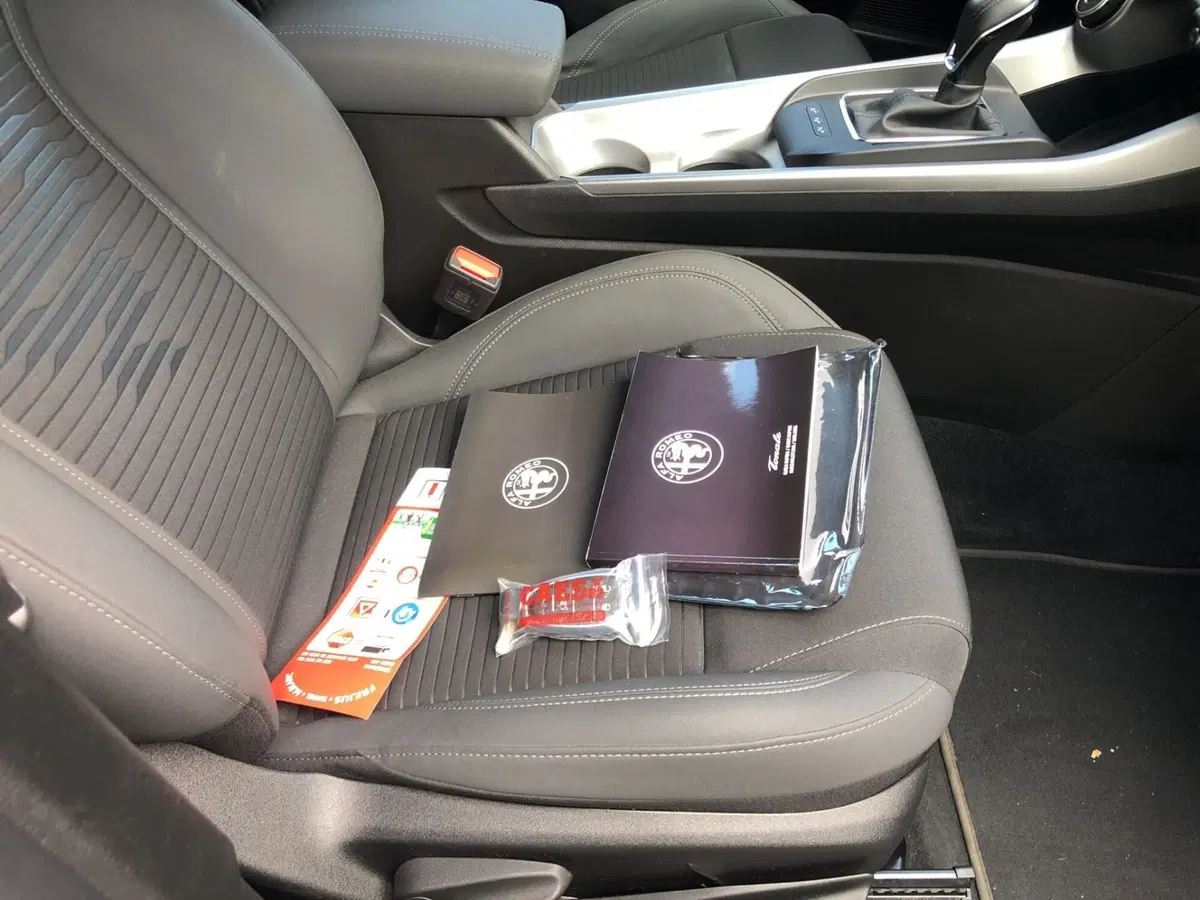 Alfa Romeo Tonale usata a Genova (19)