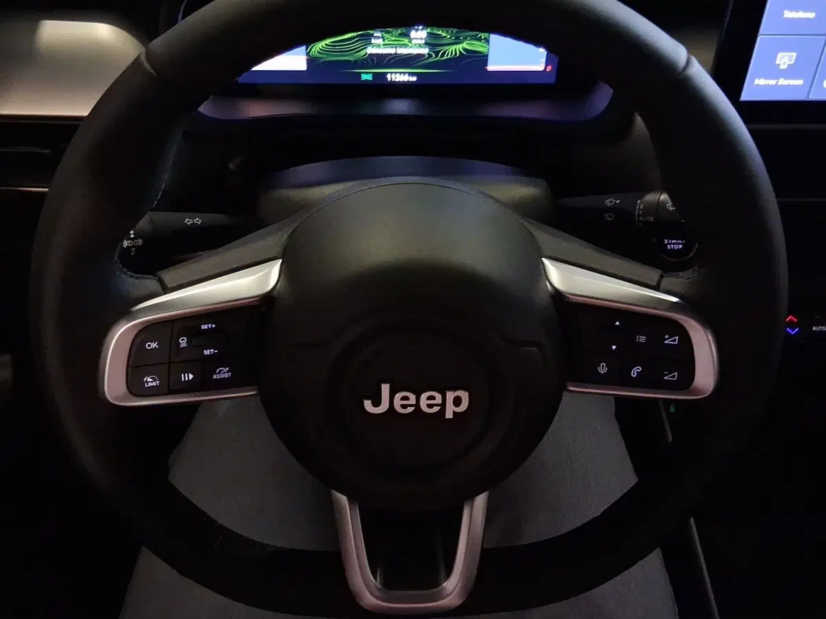 Jeep Avenger usata a Genova (14)