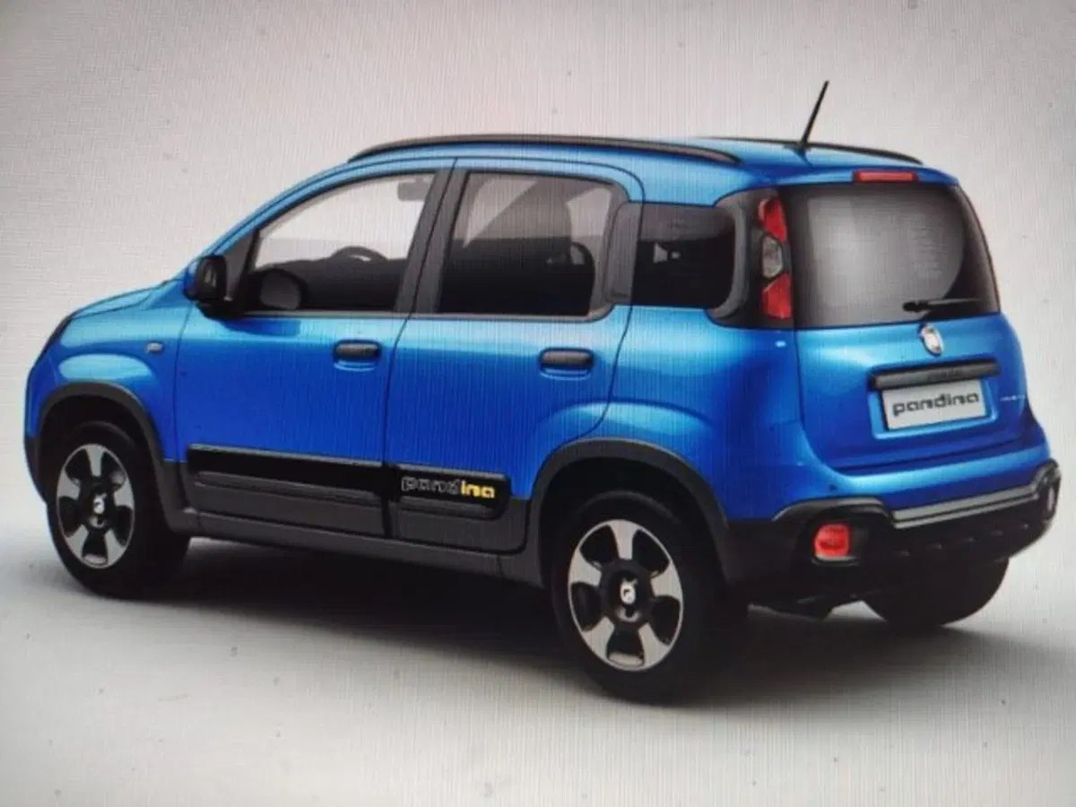 Fiat Panda Cross nuova a Forlì-Cesena