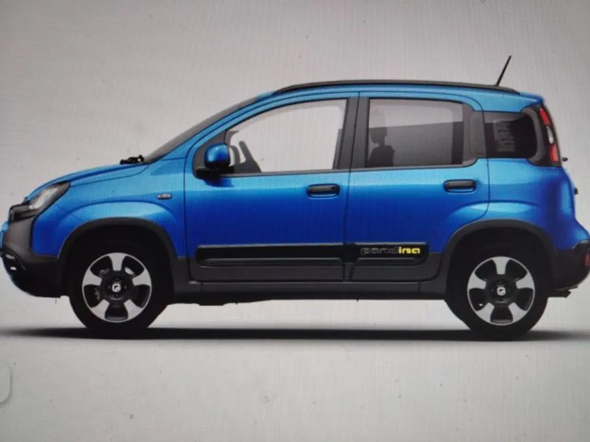 Fiat Panda Cross nuova a Forlì-Cesena (2)