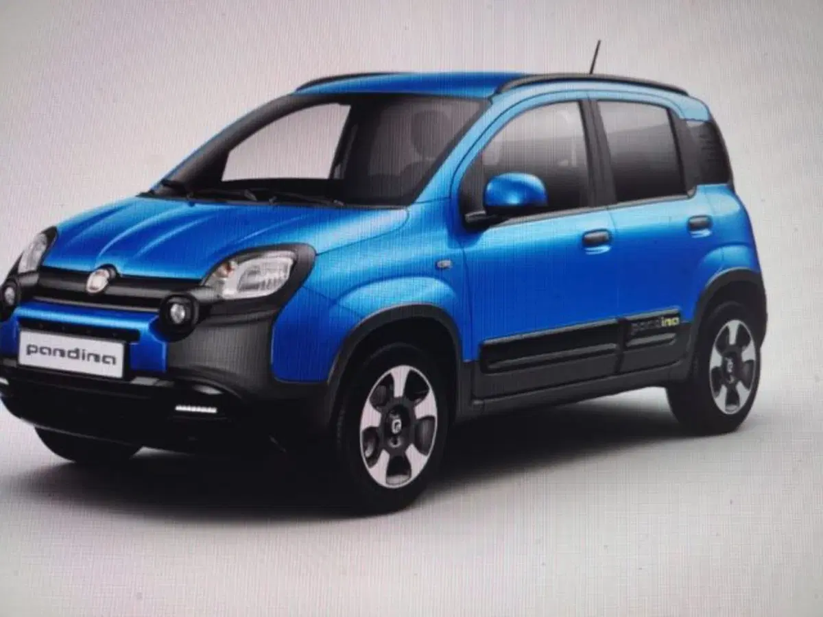Fiat Panda Cross nuova a Forlì-Cesena (4)