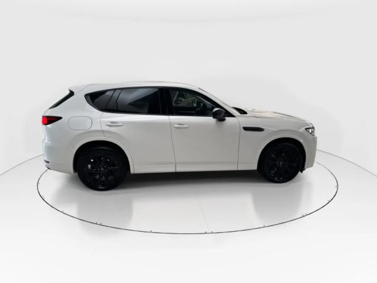 Mazda CX-60 usata a Modena (14)