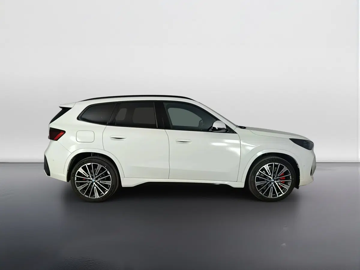 BMW X1 usata a Ascoli Piceno (3)