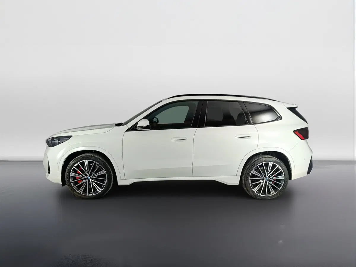 BMW X1 usata a Ascoli Piceno (6)