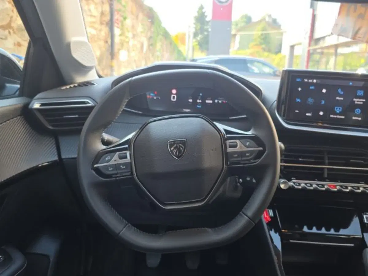 Peugeot 208 usata a Monza e Brianza (13)