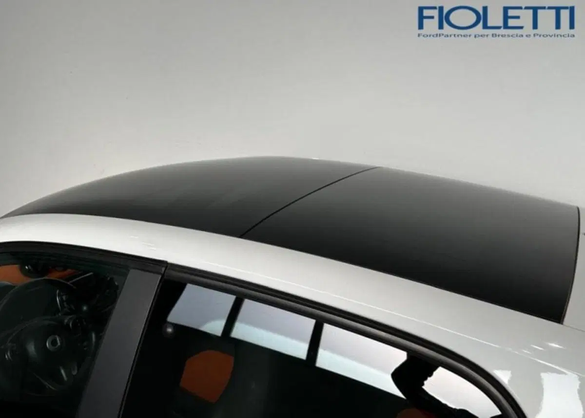 smart forfour usata a Brescia (16)