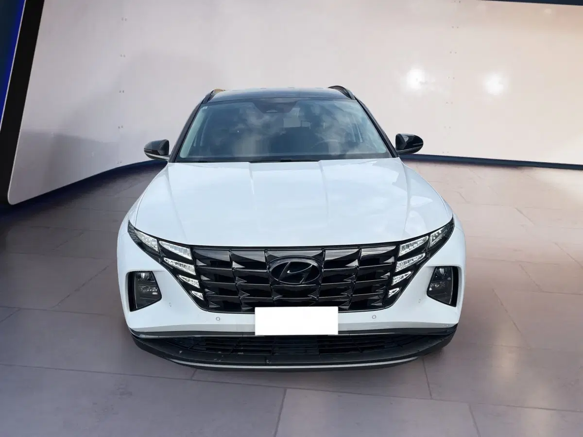 Hyundai Tucson usata a Torino