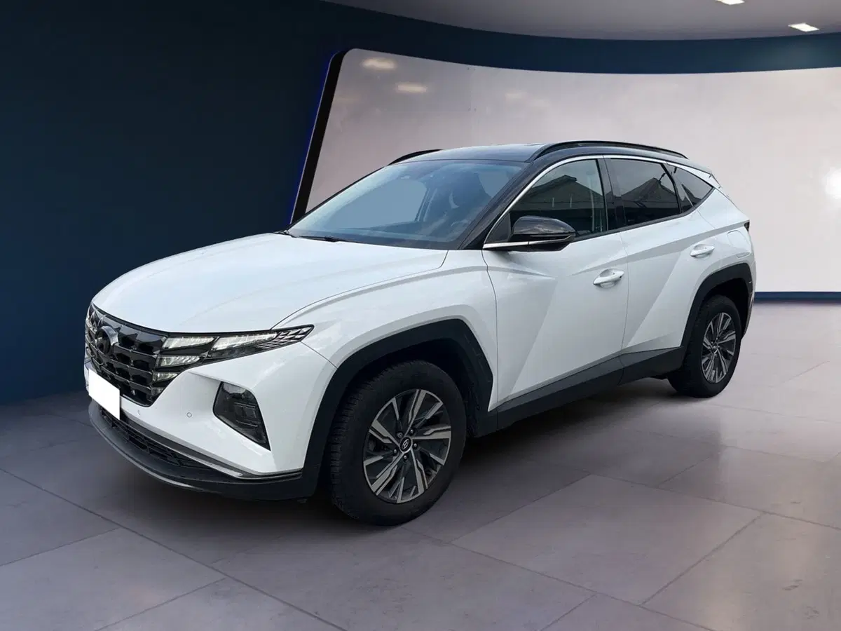Hyundai Tucson usata a Torino (2)