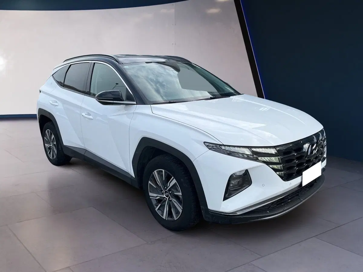 Hyundai Tucson usata a Torino (3)