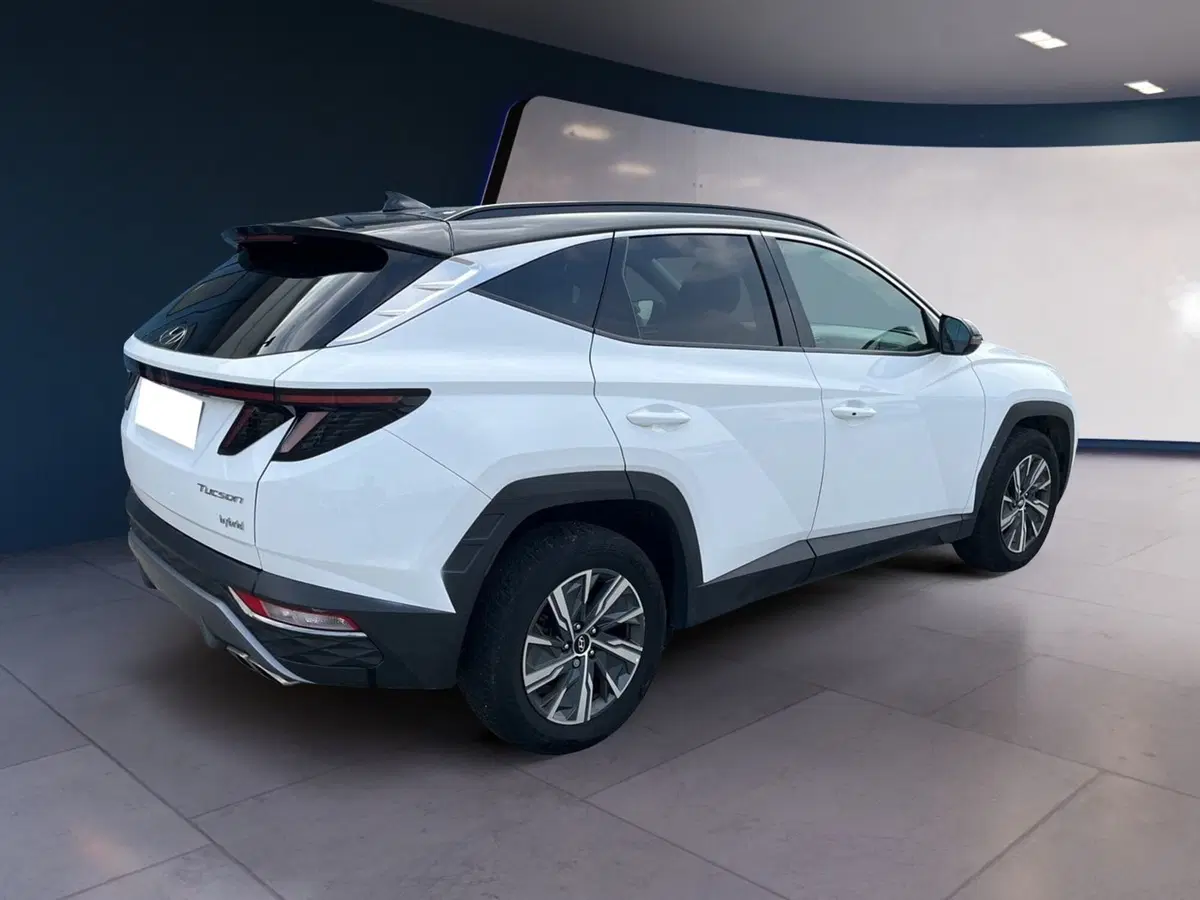 Hyundai Tucson usata a Torino (4)