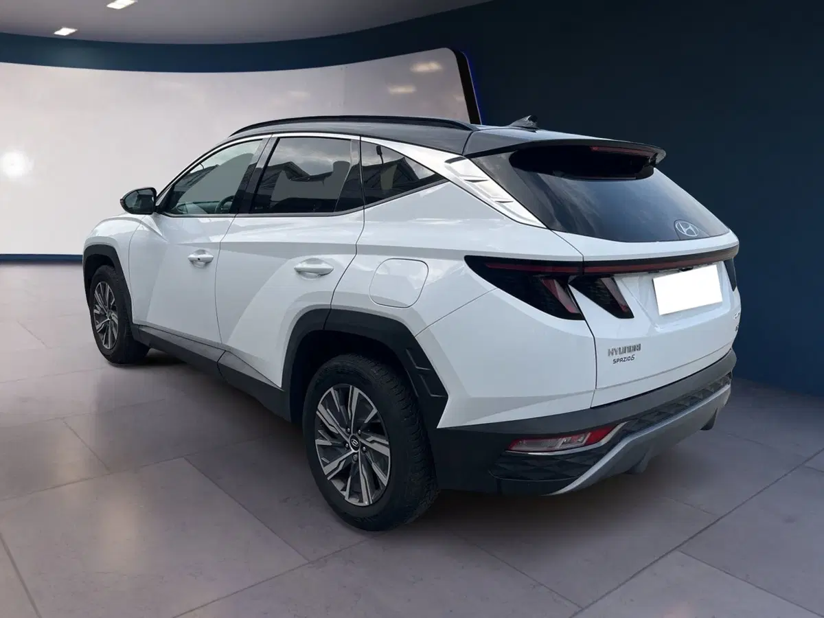 Hyundai Tucson usata a Torino (6)