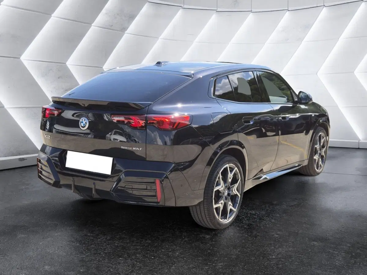 BMW X2 usata  (4)