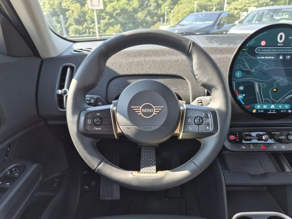 MINI Mini Countryman usata  (19)