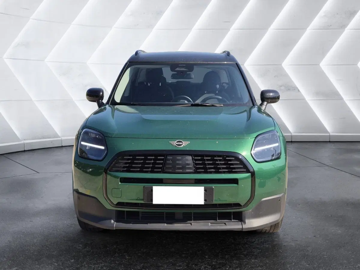 MINI Mini Countryman usata  (2)