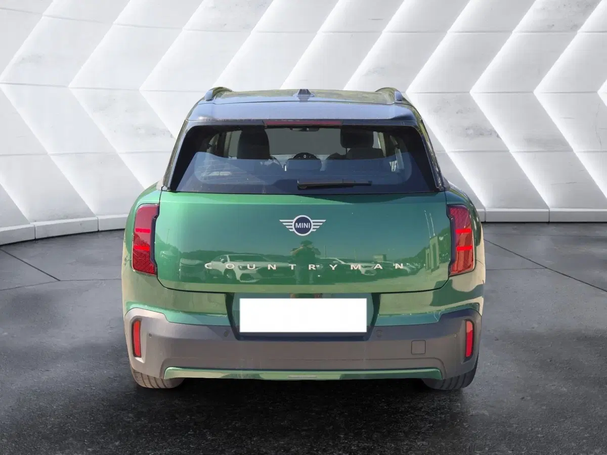 MINI Mini Countryman usata  (3)