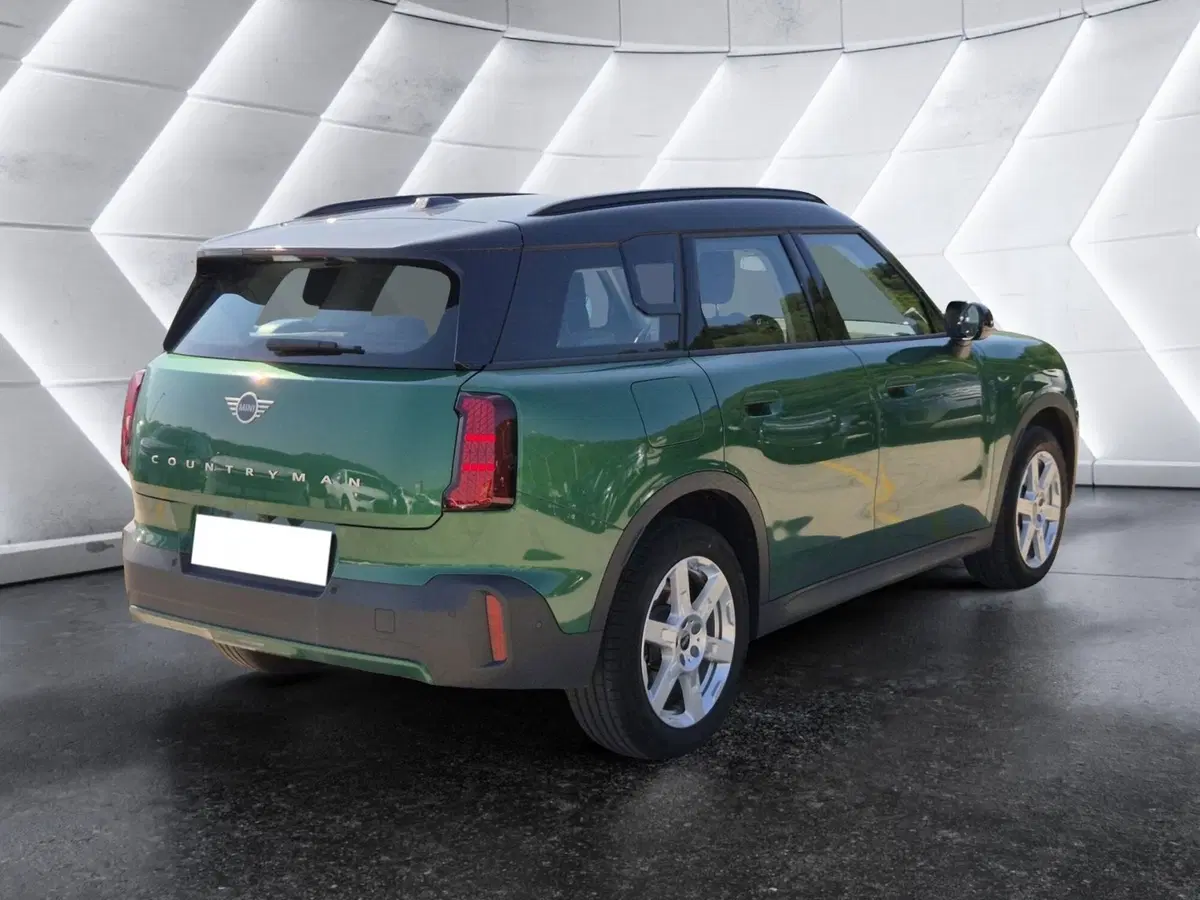 MINI Mini Countryman usata  (4)