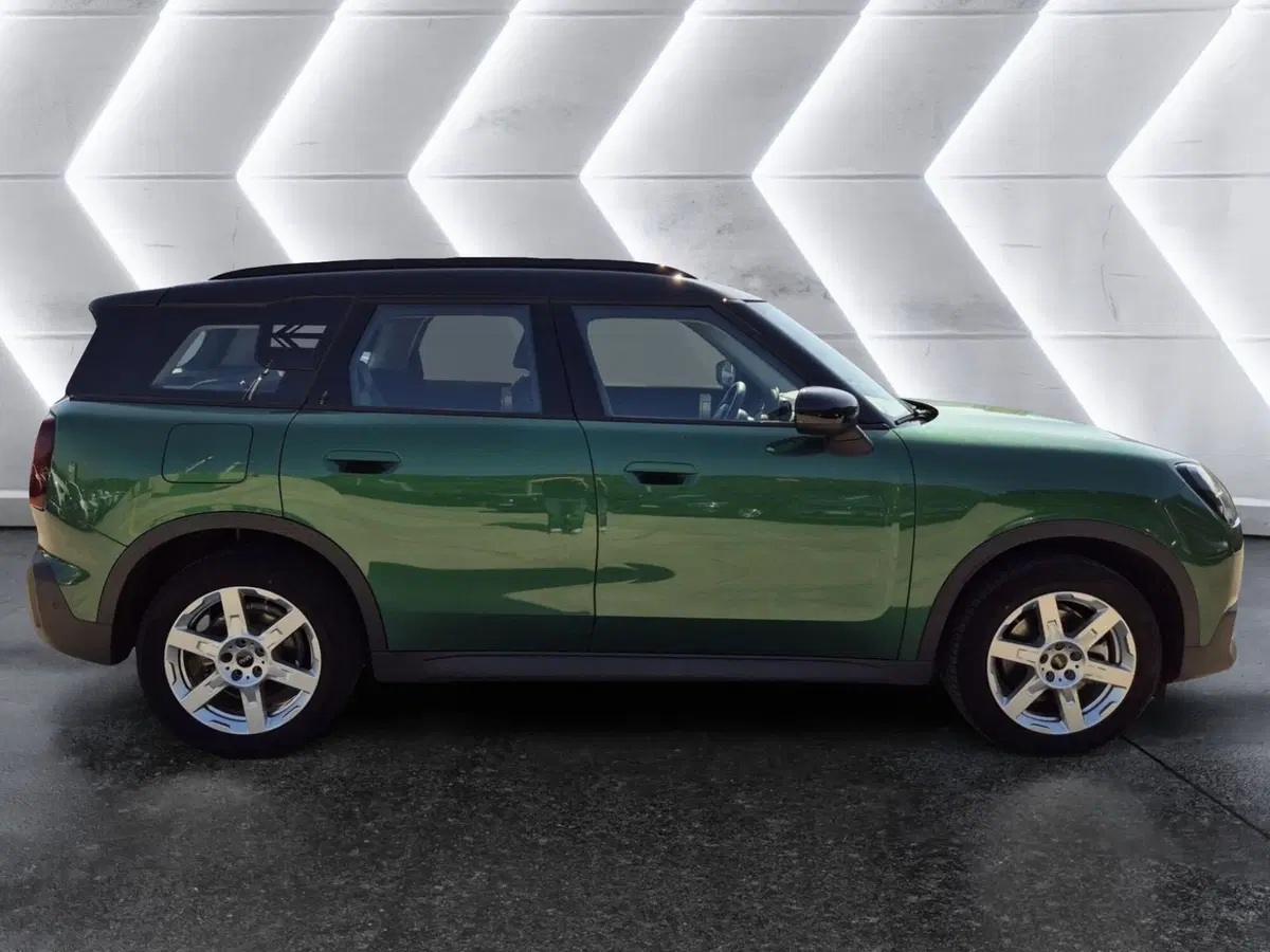 MINI Mini Countryman usata  (5)