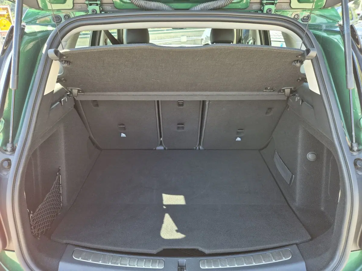 MINI Mini Countryman usata  (12)