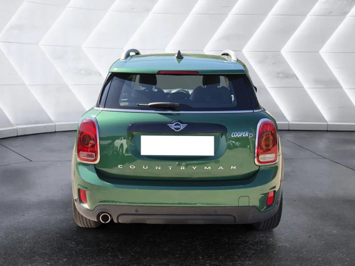 MINI Mini Countryman usata  (3)