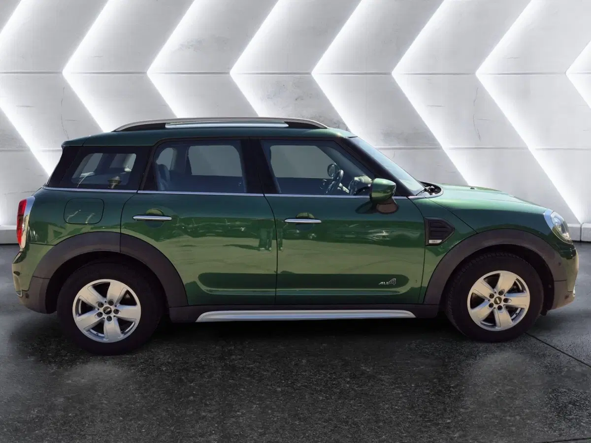 MINI Mini Countryman usata  (5)