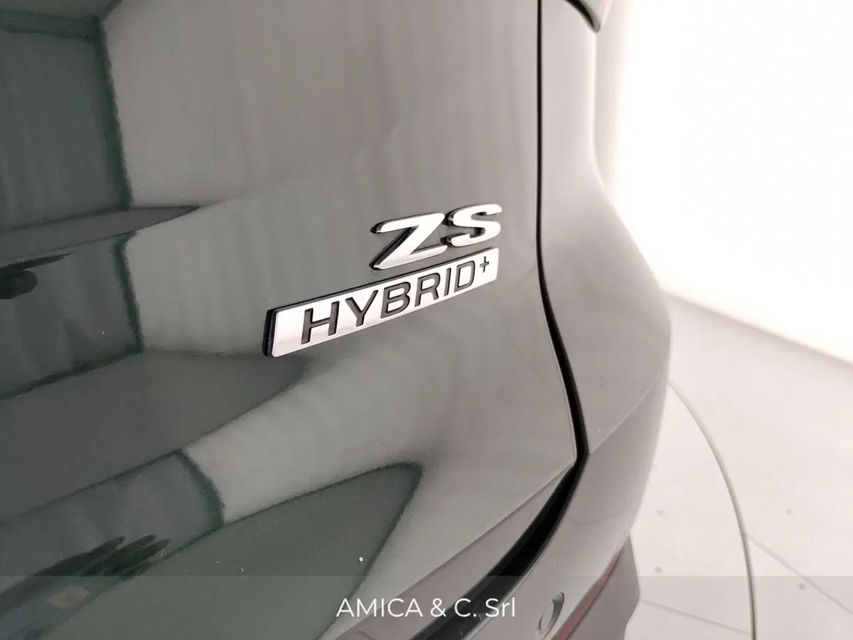 Mg ZS EV usata a Caserta (11)