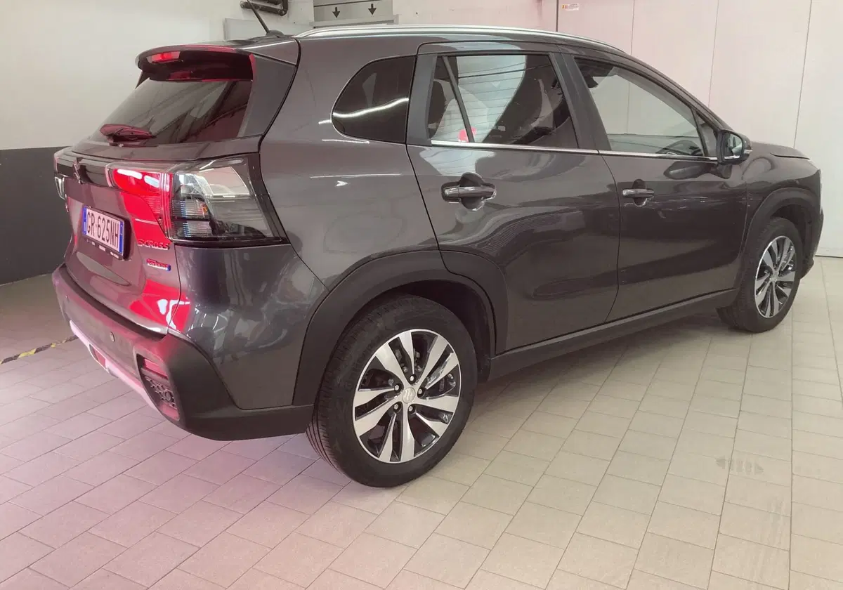 Suzuki S-Cross usata a Pavia (3)