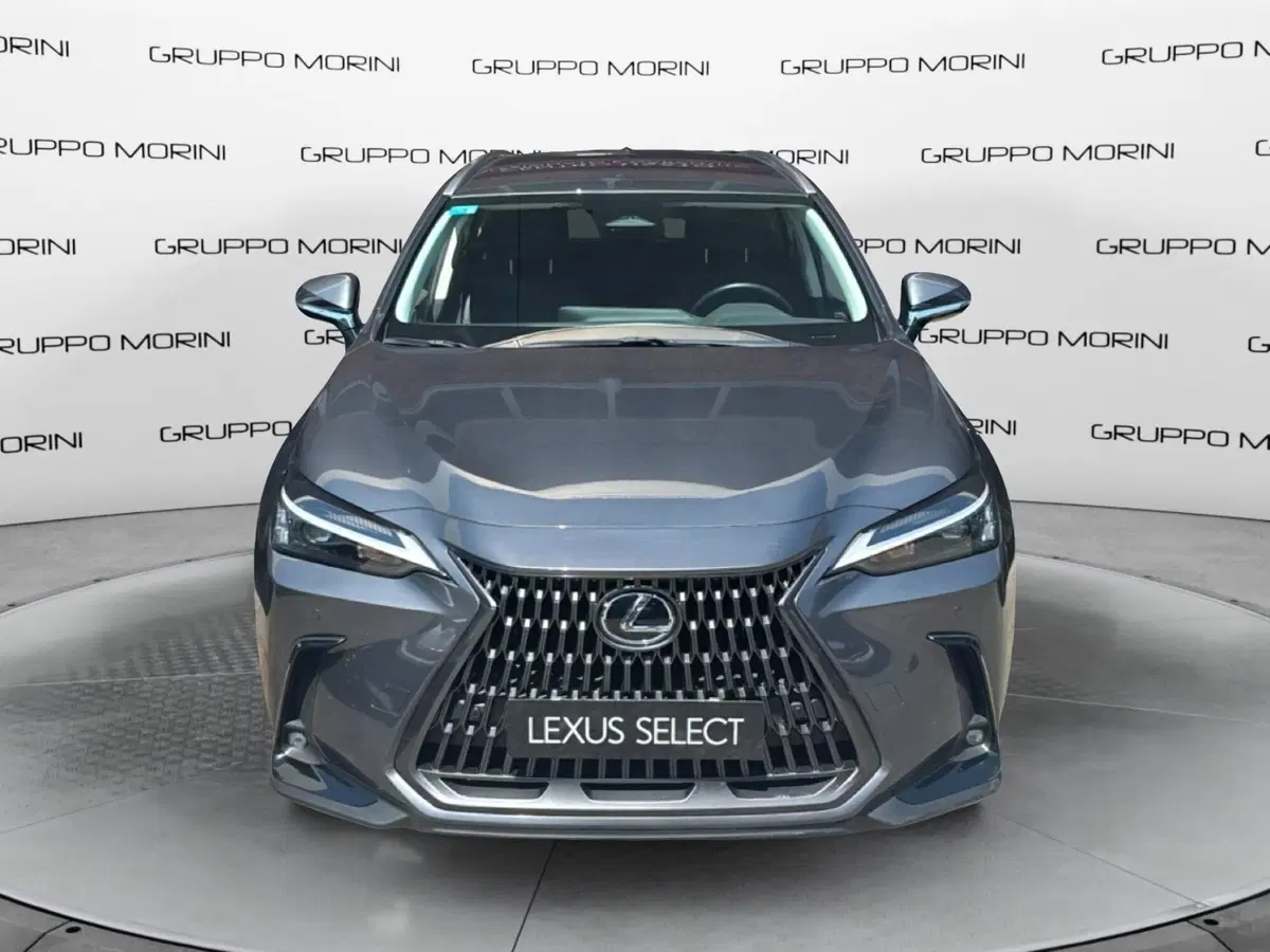 Lexus NX usata a Bologna