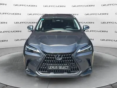 Lexus NX Plug-in 4WD Premium del 2024 usata a Bologna