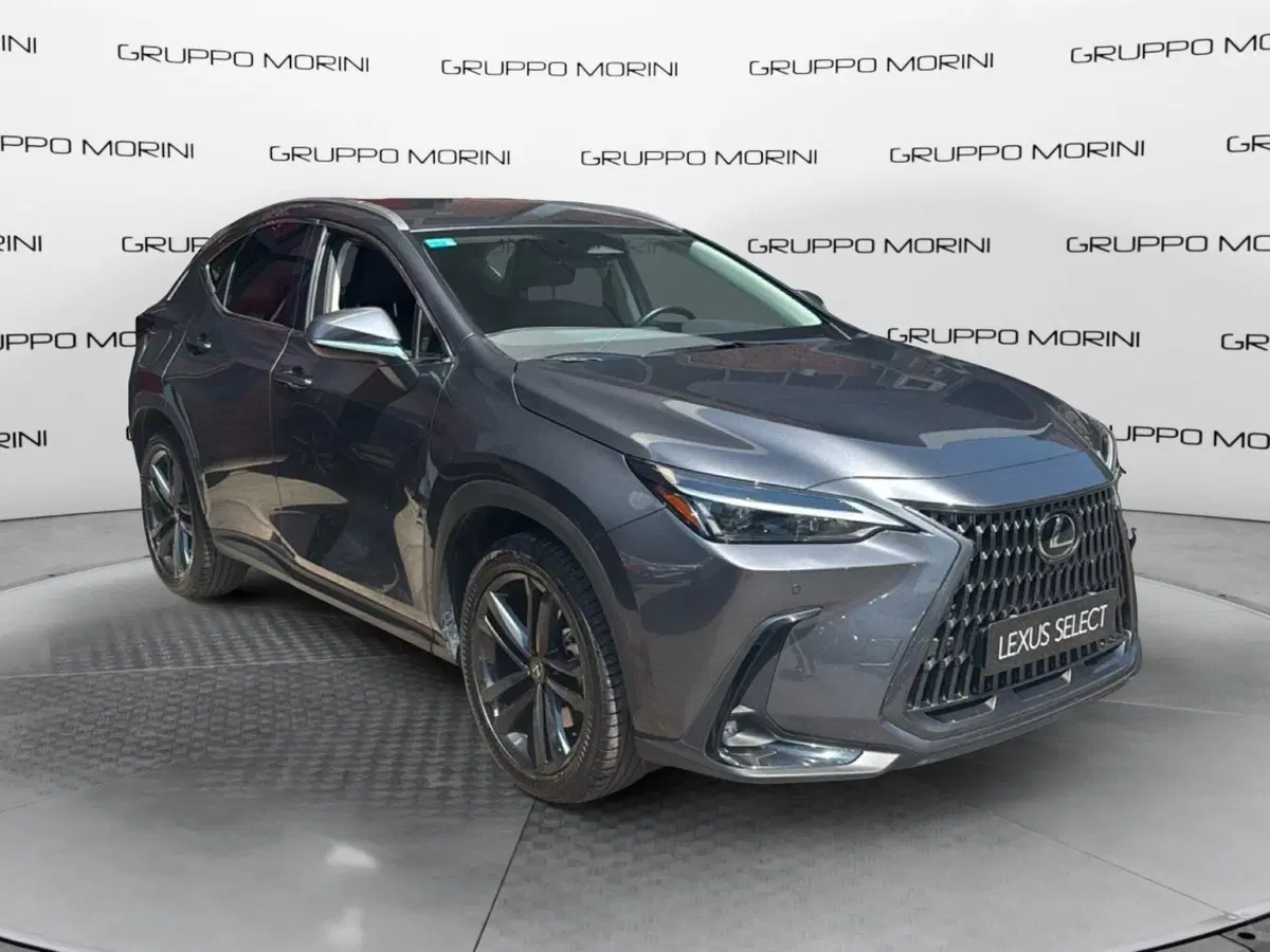 Lexus NX usata a Bologna (2)