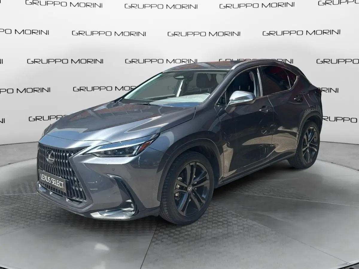 Lexus NX usata a Bologna (3)