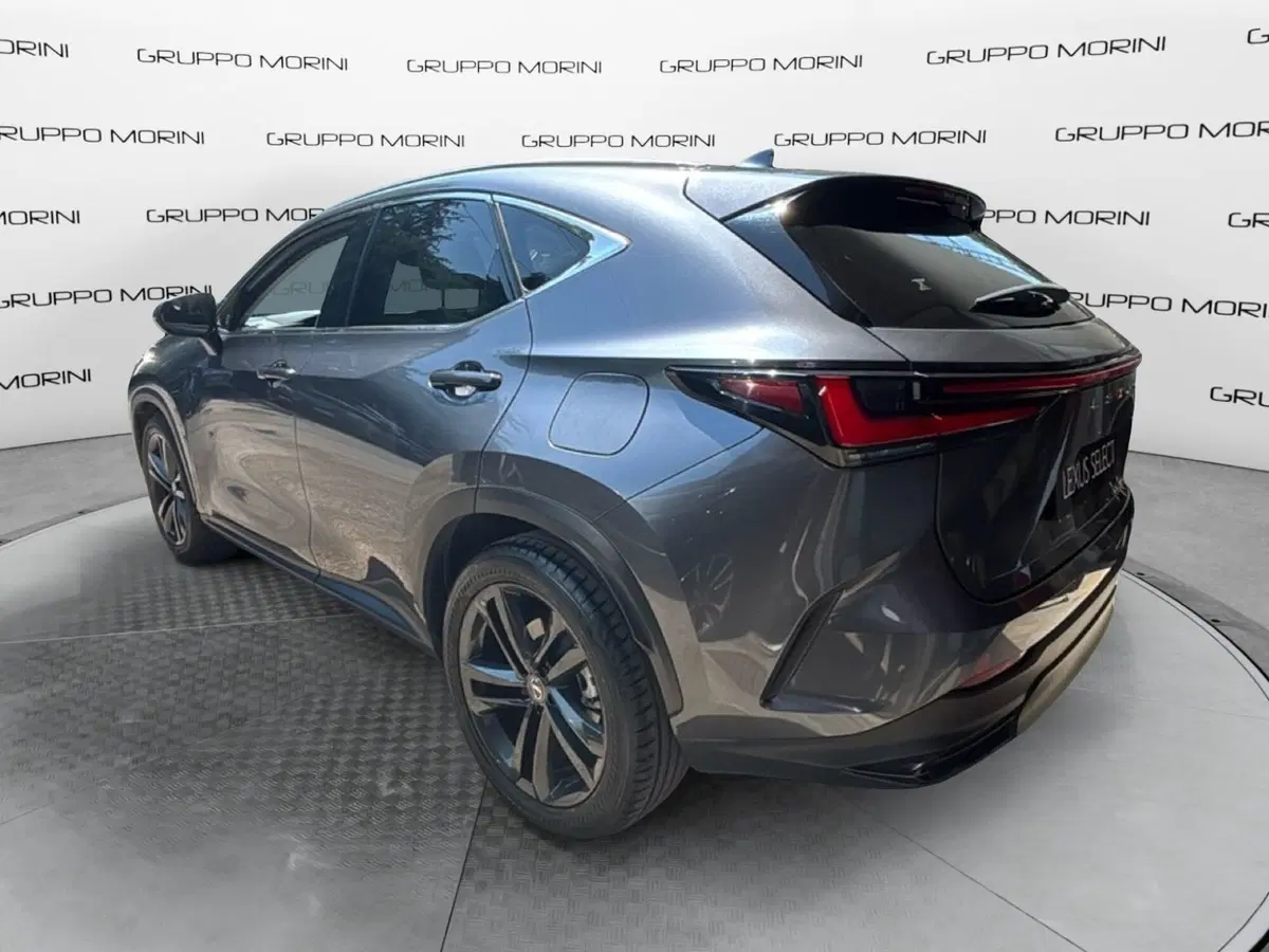 Lexus NX usata a Bologna (5)