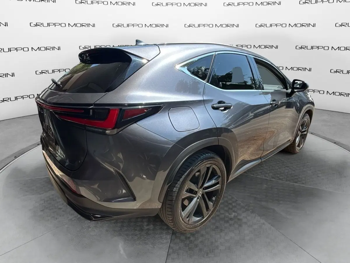Lexus NX usata a Bologna (6)
