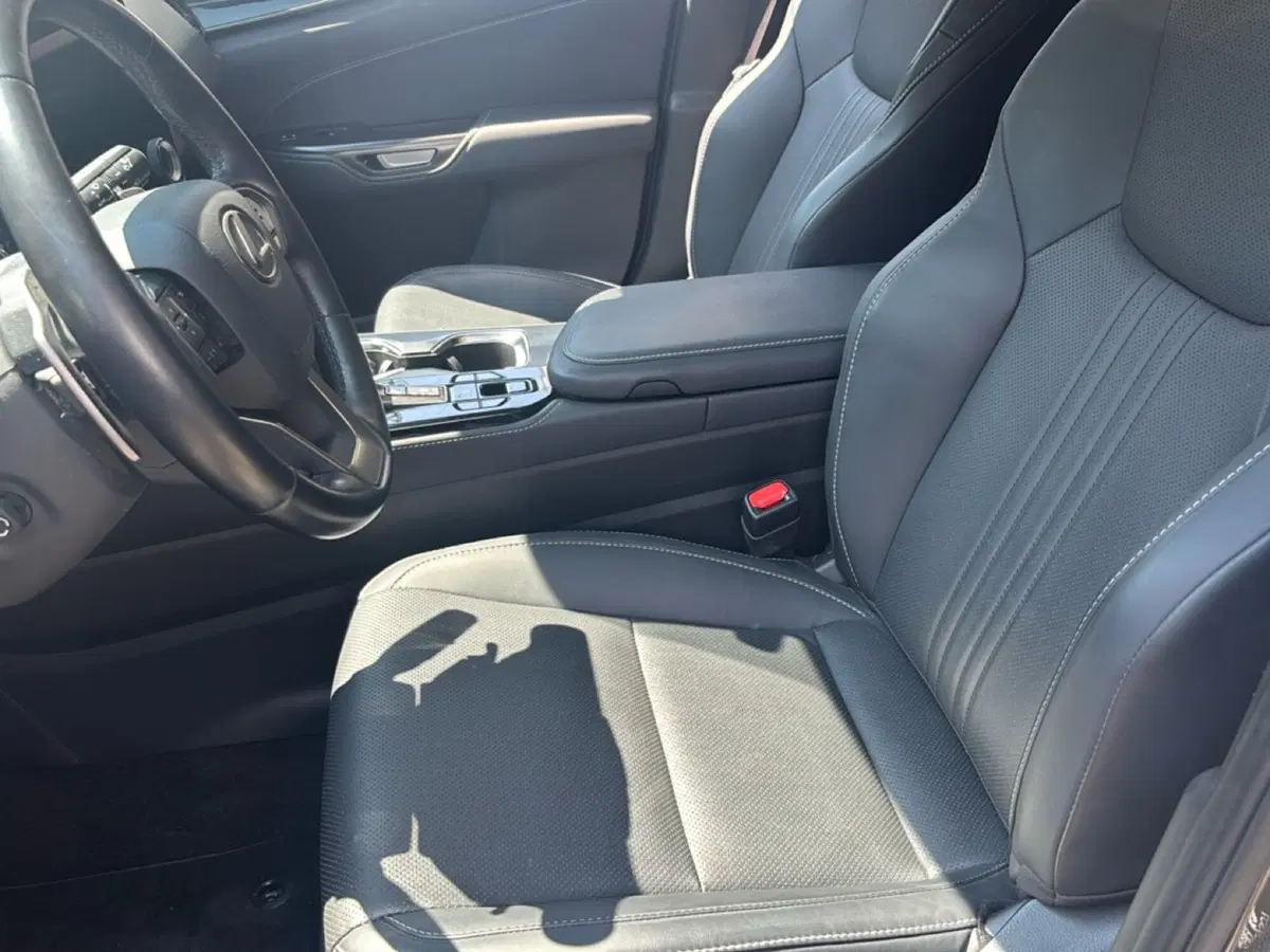 Lexus NX usata a Bologna (7)
