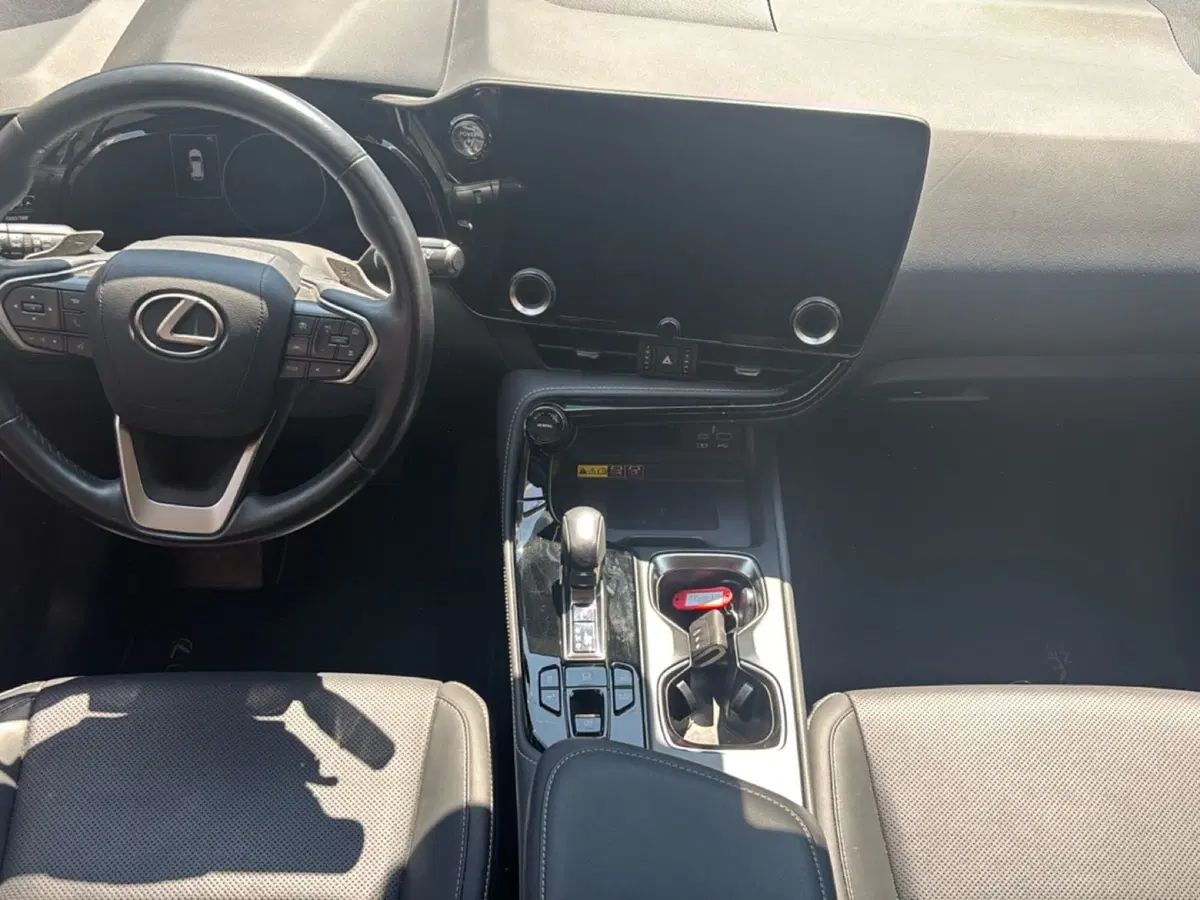 Lexus NX usata a Bologna (9)