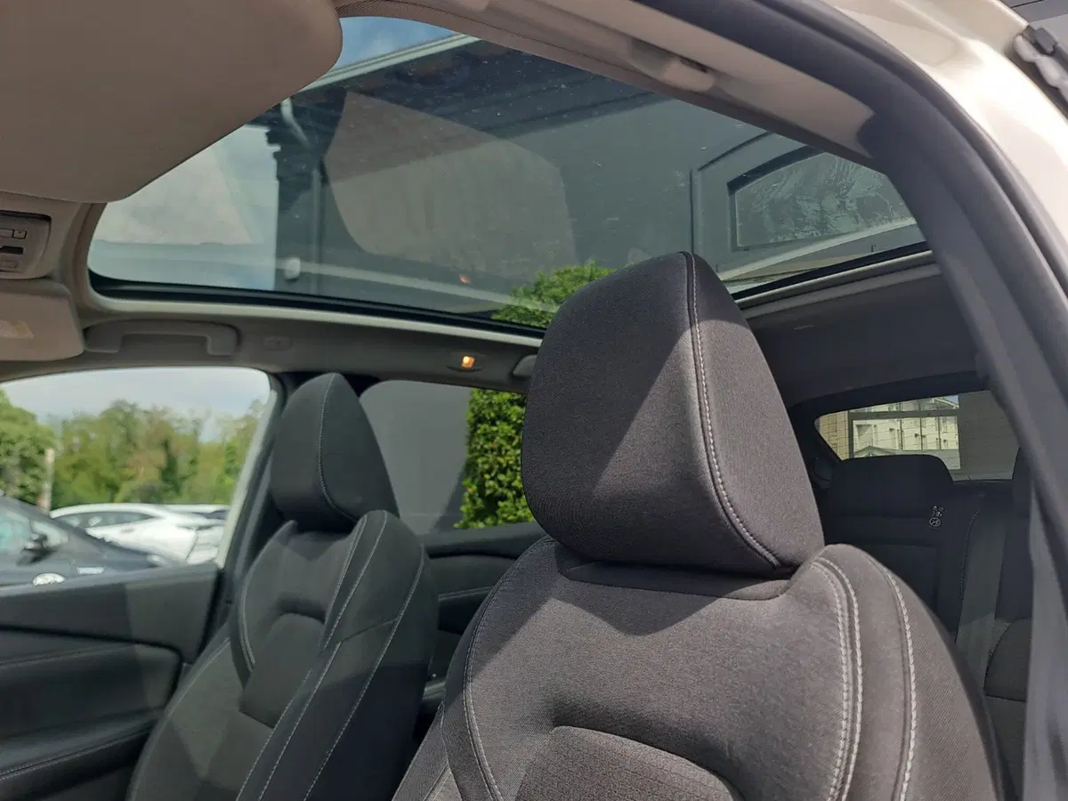 Nissan Qashqai usata a Bologna (15)