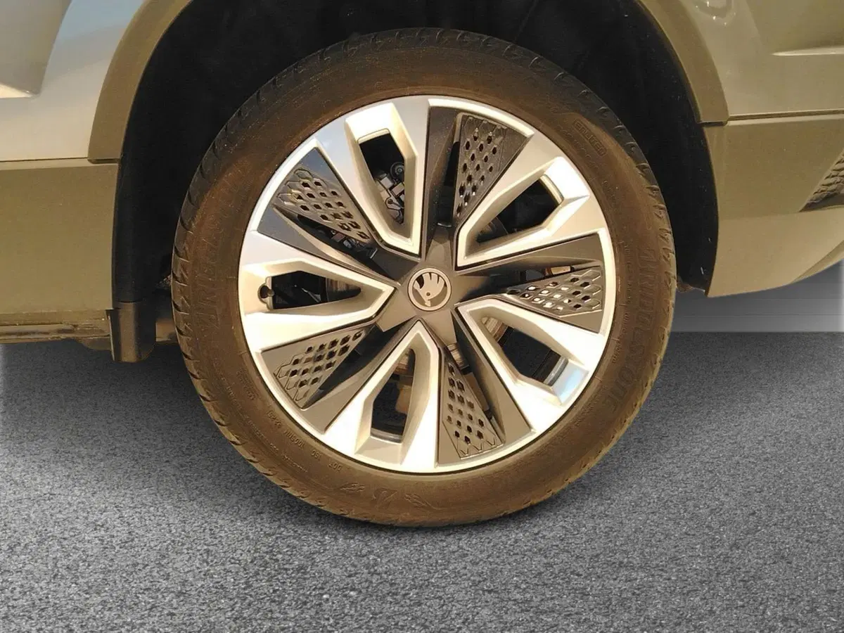 Skoda Karoq nuova a Bari (6)