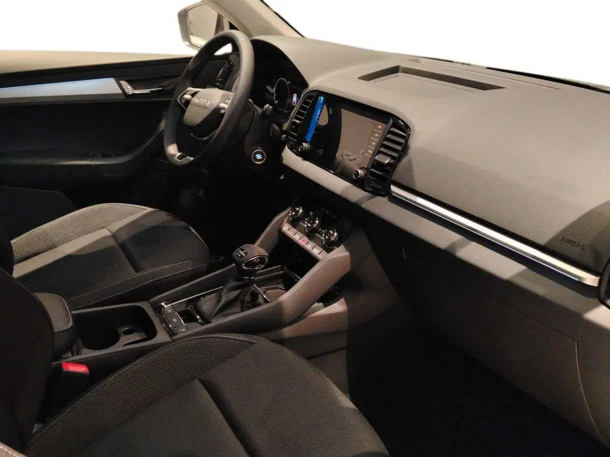 Skoda Karoq nuova a Bari (9)