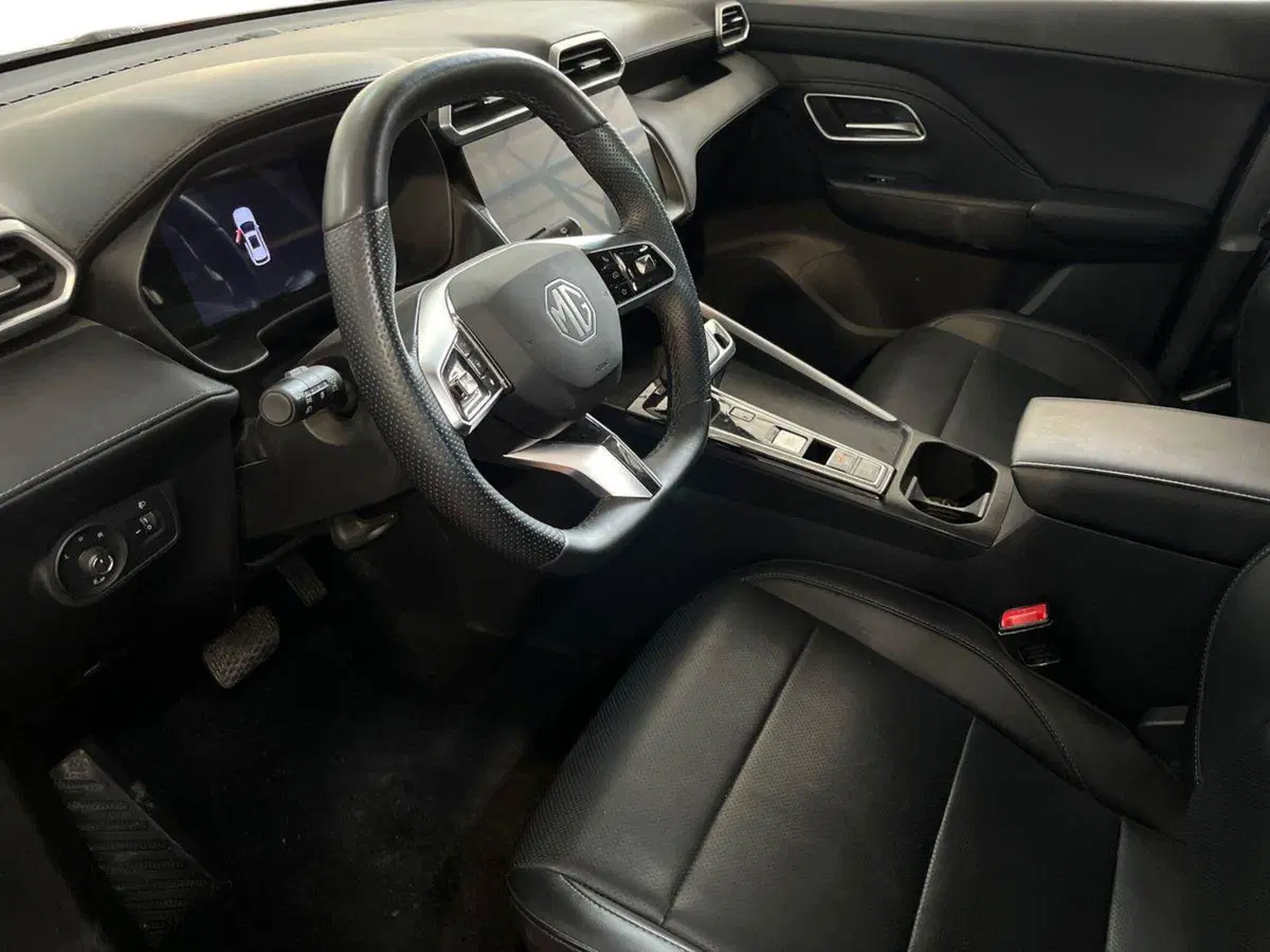Mg ZS EV usata a Bari (10)