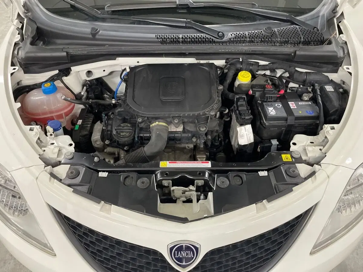 Lancia Ypsilon usata a Macerata (20)