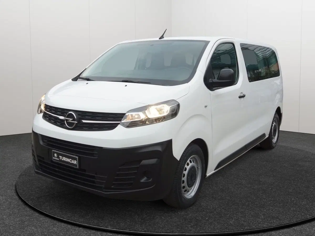 Opel Vivaro Furgone usata a Torino (20)