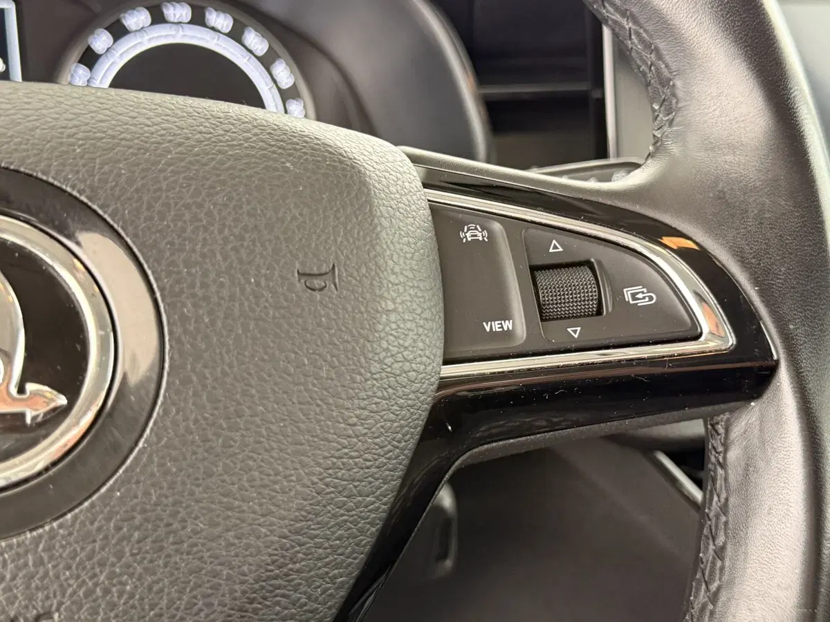 Skoda Kamiq usata a Perugia (9)