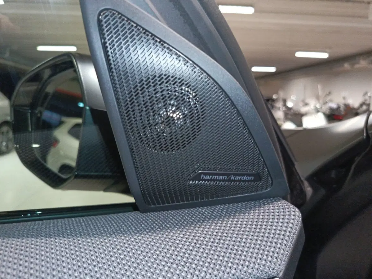BMW X3 usata a Napoli (19)