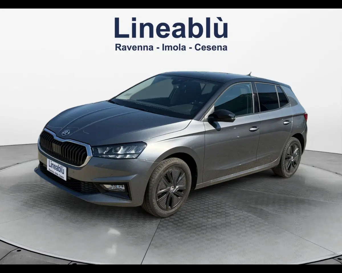 Skoda Fabia usata a Bologna