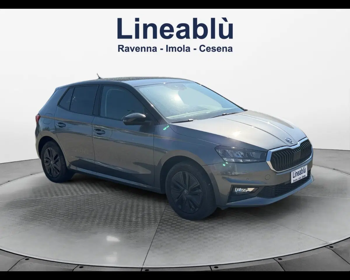 Skoda Fabia usata a Bologna (7)