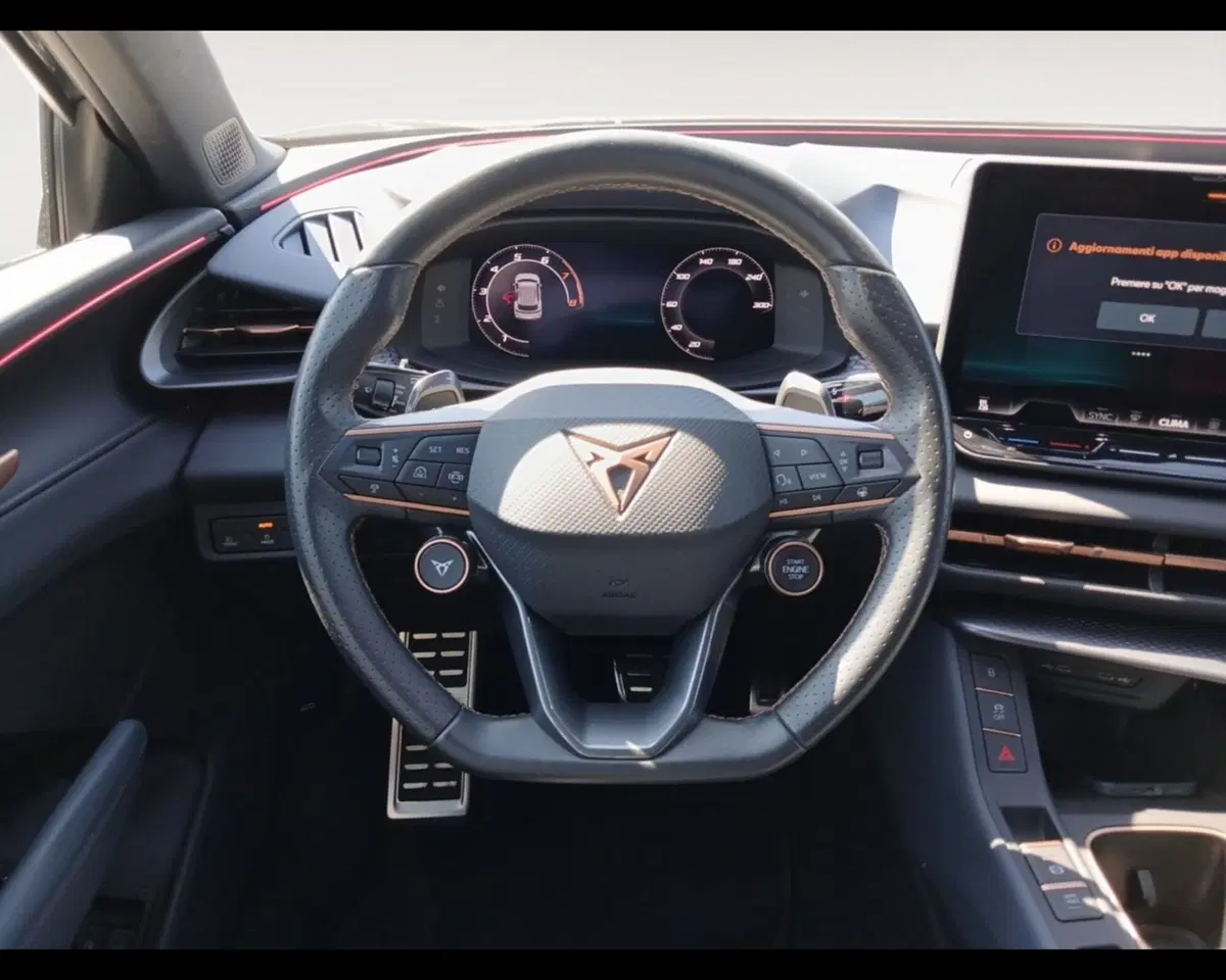 Cupra Terramar usata a Forlì-Cesena (12)