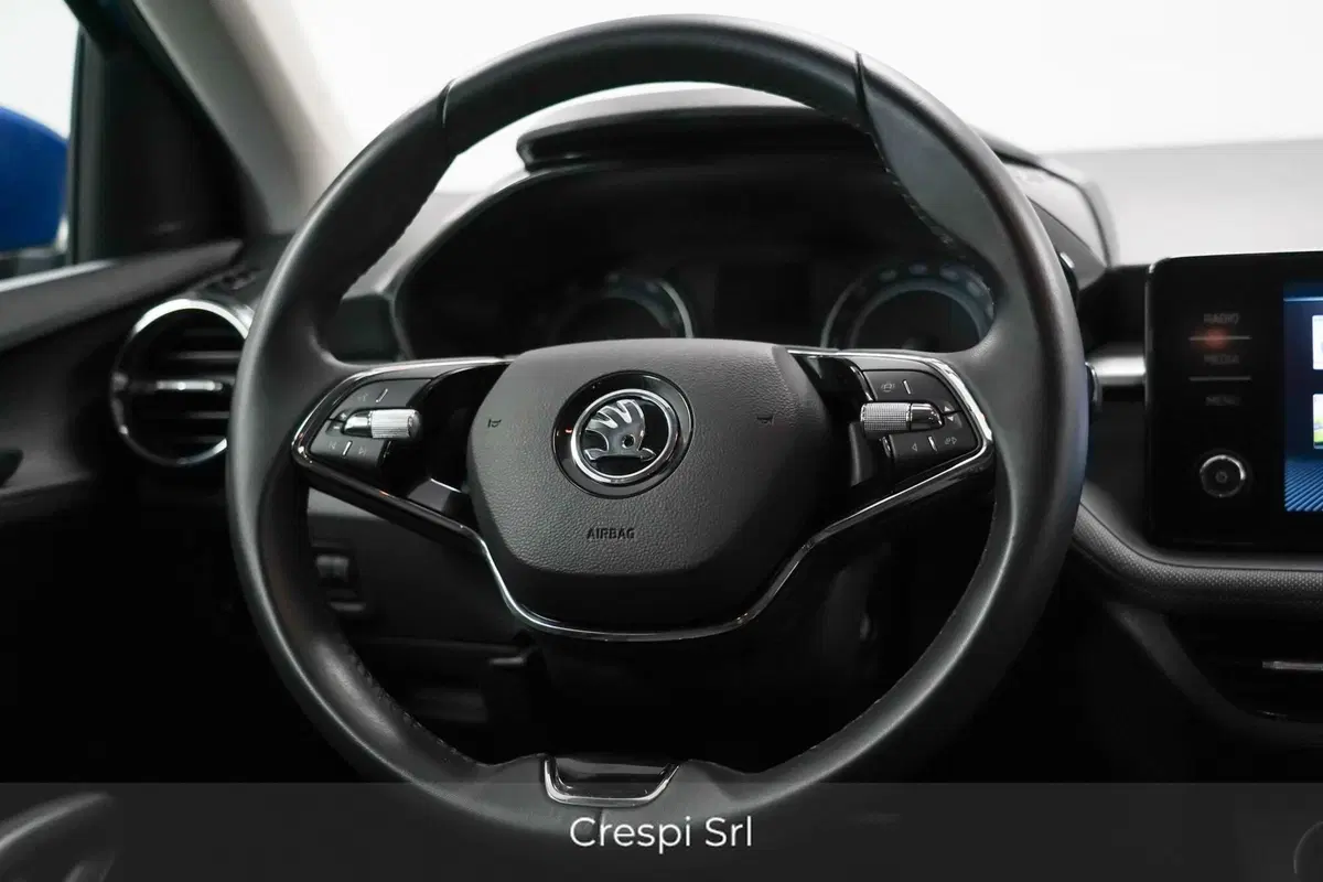 Skoda Fabia usata a Varese (12)