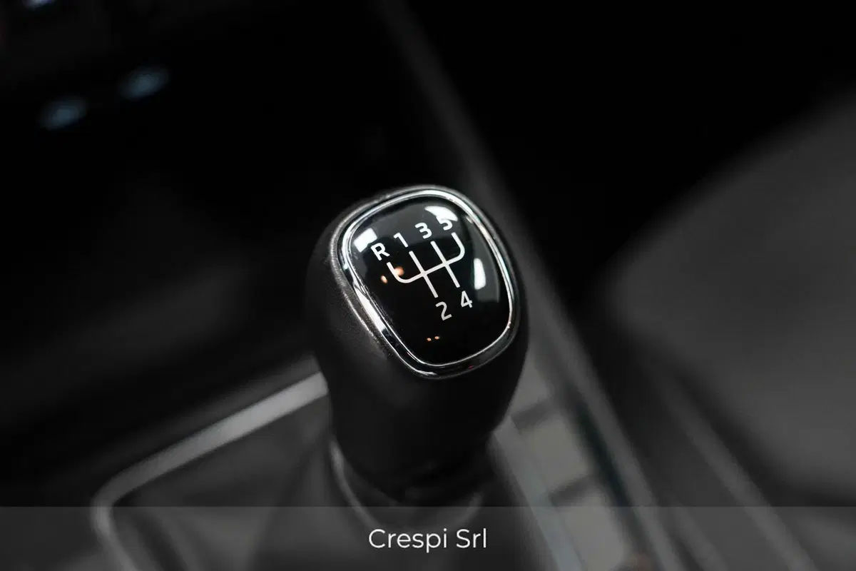 Skoda Fabia usata a Varese (17)